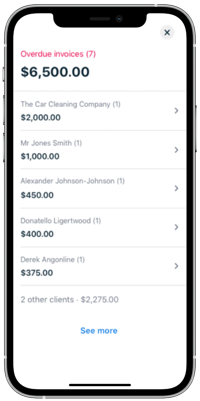 Overdue_Invoices_Expanded_View_iOS.png